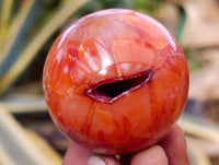 Polished Carnelian Agate Spheres x 7 From Madagascar