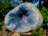 Natural Large Celestite Geode Specimen x 1 From Sakoany, Madagascar