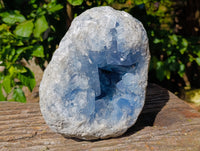 Natural Large Celestite Geode Specimen x 1 From Sakoany, Madagascar