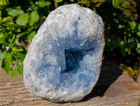 Natural Large Celestite Geode Specimen x 1 From Sakoany, Madagascar