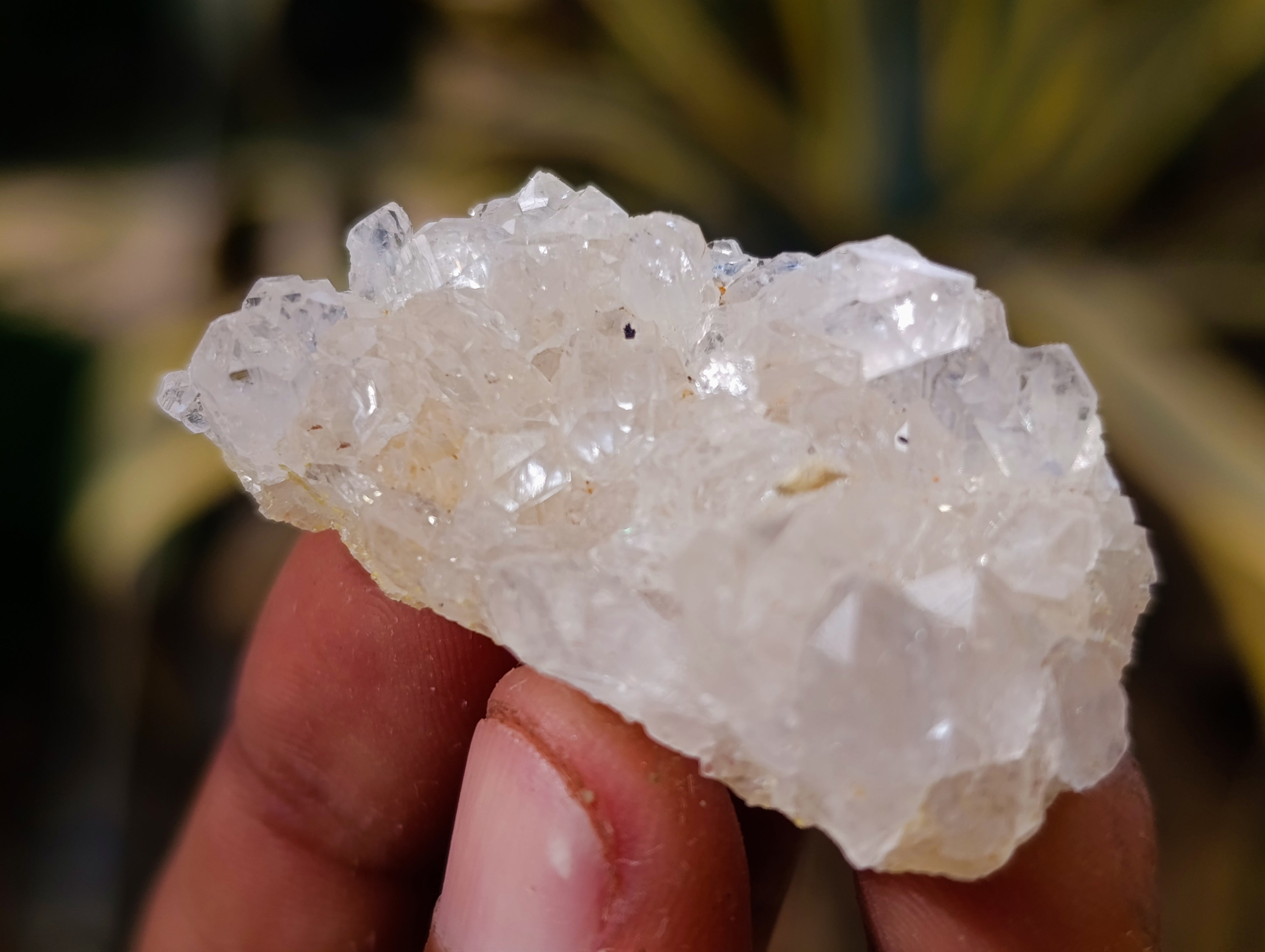 Natural Mixed Single Crystals x 1.68 Kg Lot From Southern Africa - Toprock Gemstones and Minerals 