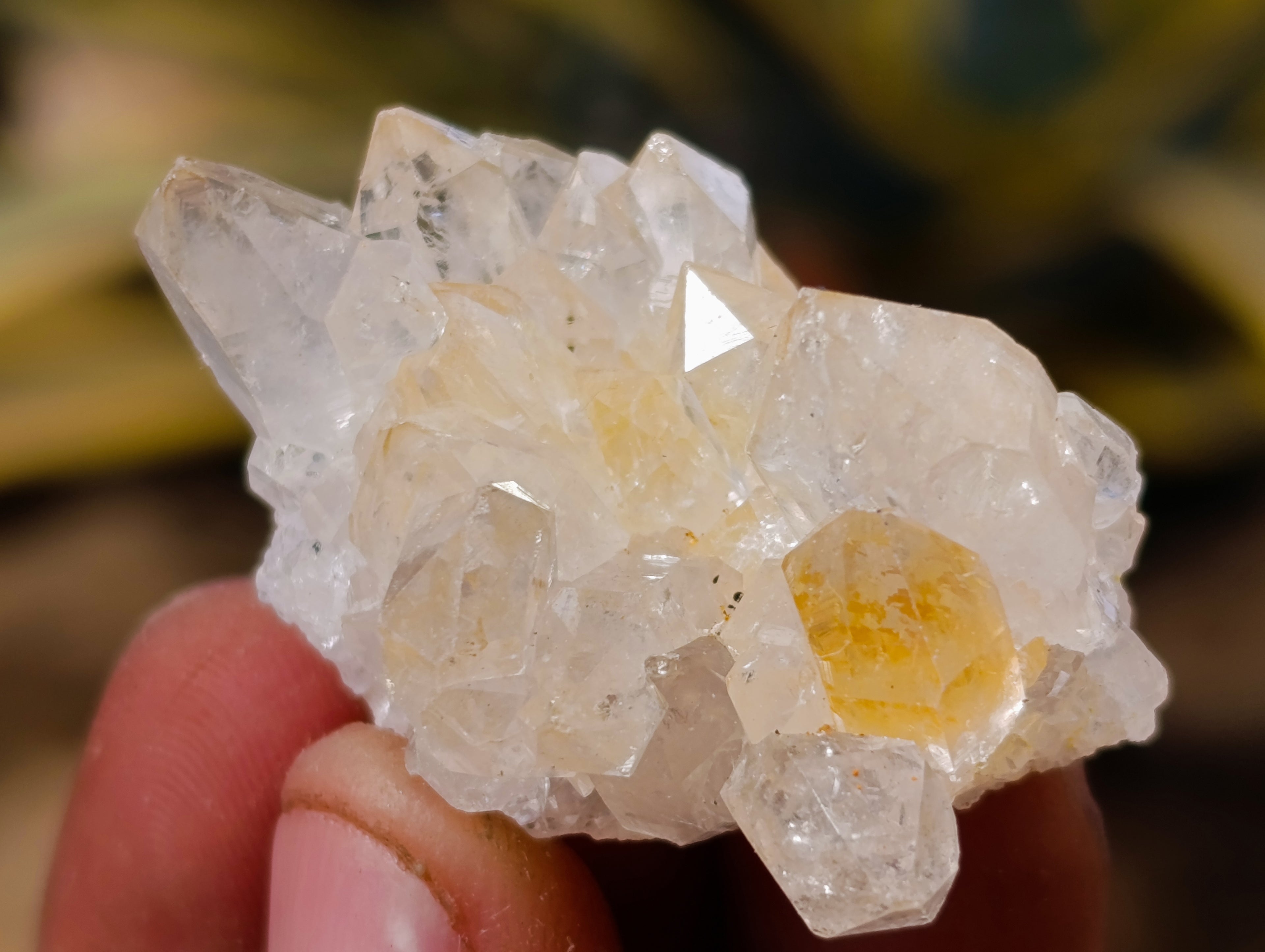 Natural Mixed Single Crystals x 1.68 Kg Lot From Southern Africa - Toprock Gemstones and Minerals 