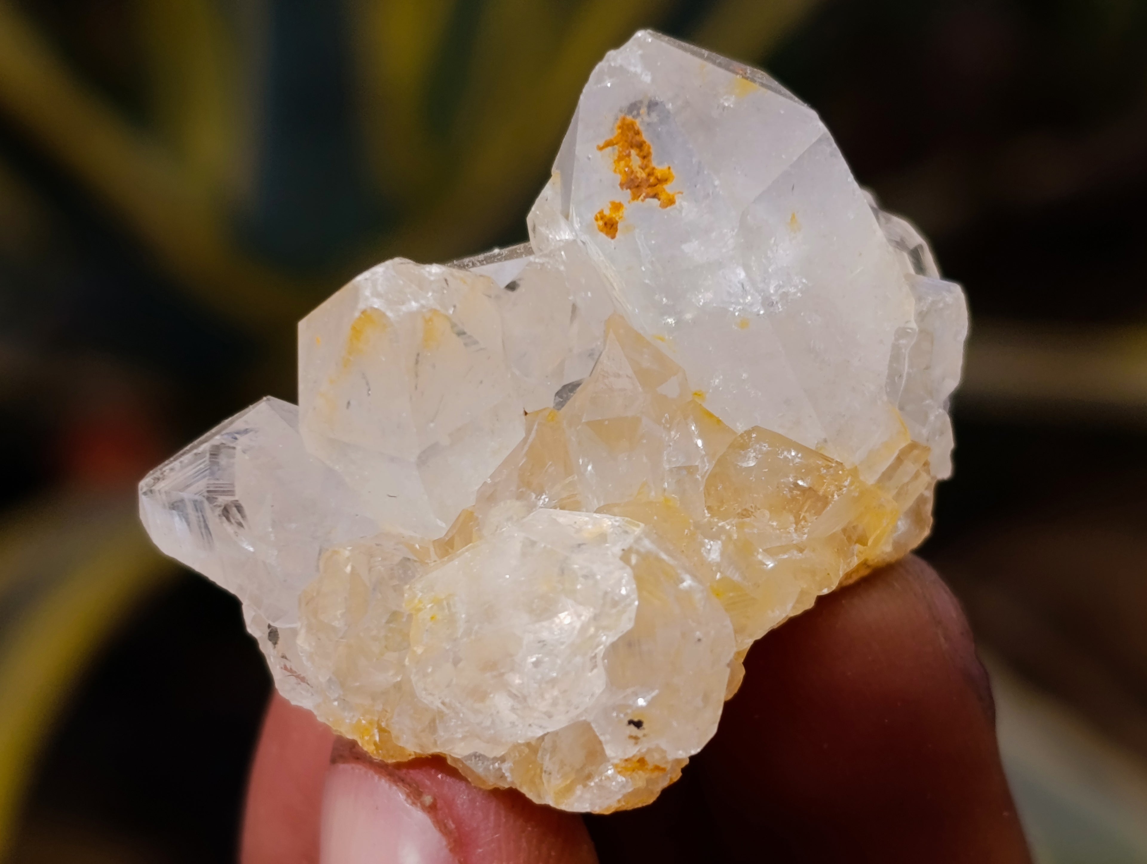 Natural Mixed Single Crystals x 1.68 Kg Lot From Southern Africa - Toprock Gemstones and Minerals 