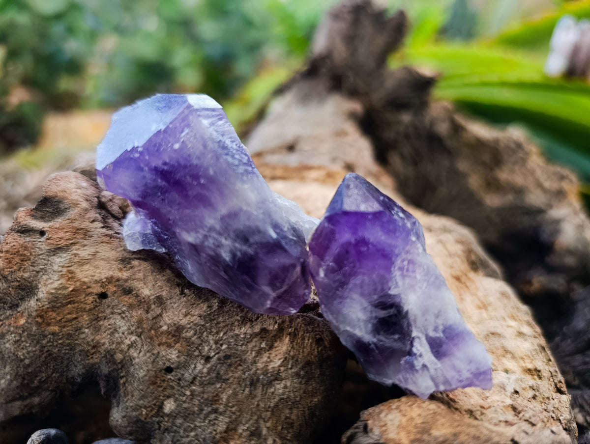 Natural Mixed Single Crystals x 1.68 Kg Lot From Southern Africa - Toprock Gemstones and Minerals 