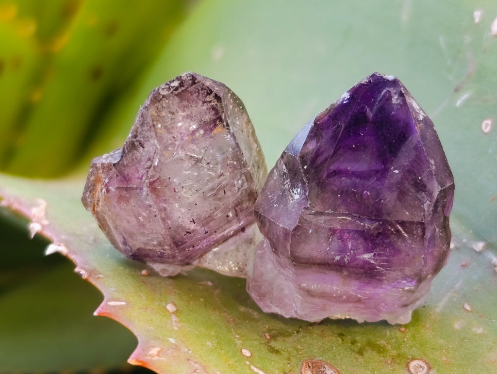 Natural Mixed Single Crystals x 1.68 Kg Lot From Southern Africa - Toprock Gemstones and Minerals 