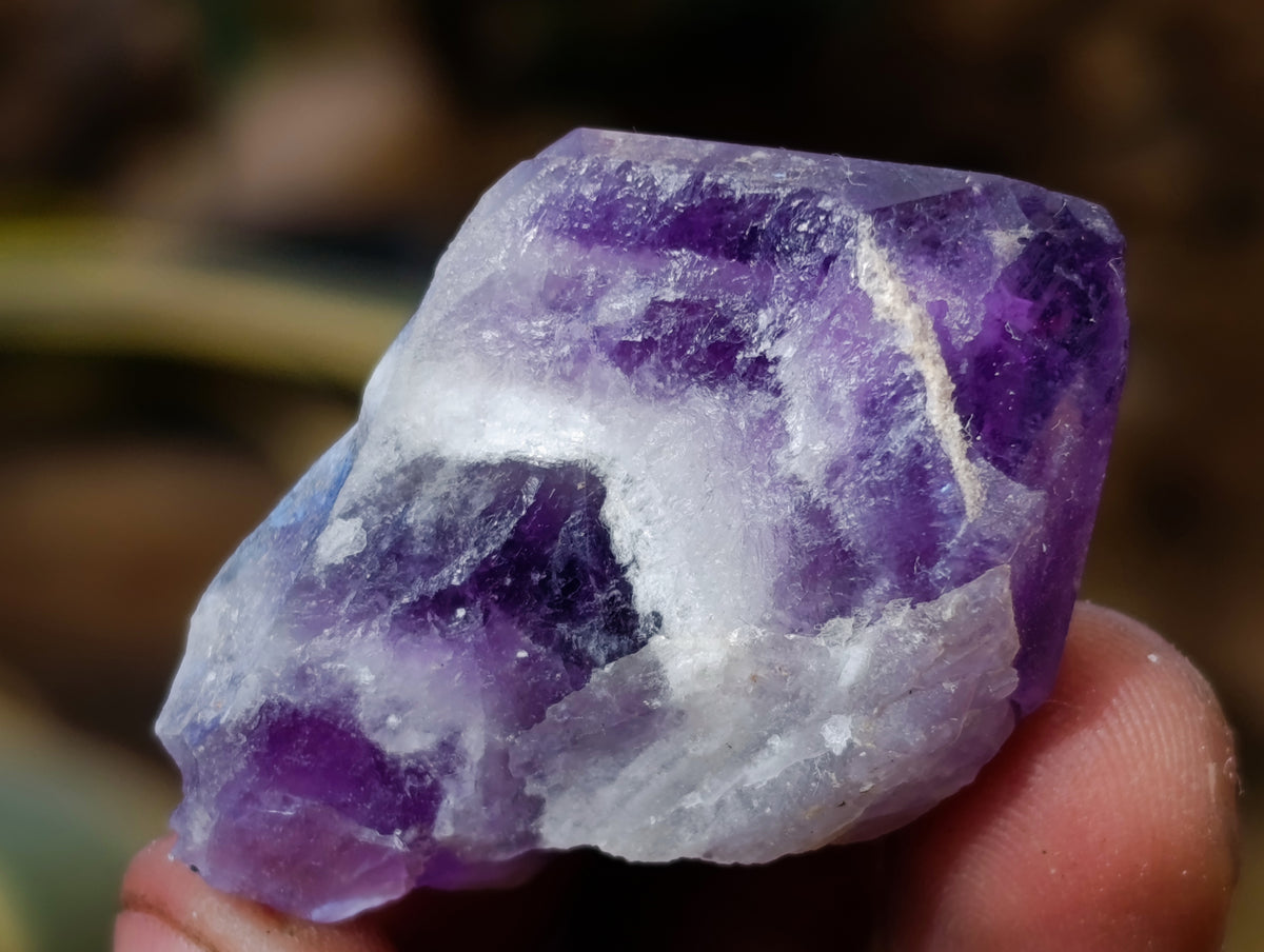 Natural Mixed Single Crystals x 1.68 Kg Lot From Southern Africa - Toprock Gemstones and Minerals 