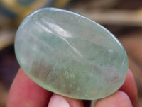 Polished Green Fluorite Palm Stones x 35 From Madagascar - Toprock Gemstones and Minerals 