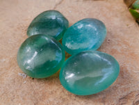 Polished Green Fluorite Palm Stones x 35 From Madagascar - Toprock Gemstones and Minerals 
