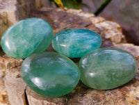 Polished Green Fluorite Palm Stones x 35 From Madagascar - Toprock Gemstones and Minerals 