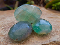 Polished Green Fluorite Palm Stones x 35 From Madagascar - Toprock Gemstones and Minerals 