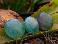 Polished Green Fluorite Palm Stones x 35 From Madagascar - Toprock Gemstones and Minerals 
