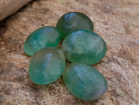Polished Green Fluorite Palm Stones x 35 From Madagascar - Toprock Gemstones and Minerals 