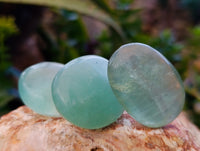 Polished Green Fluorite Palm Stones x 35 From Madagascar - Toprock Gemstones and Minerals 