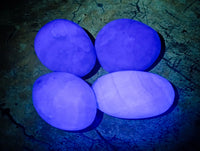 Polished Green Fluorite Palm Stones x 35 From Madagascar - Toprock Gemstones and Minerals 
