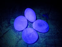 Polished Green Fluorite Palm Stones x 35 From Madagascar - Toprock Gemstones and Minerals 