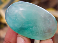 Polished Green Fluorite Palm Stones x 35 From Madagascar - Toprock Gemstones and Minerals 