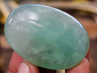 Polished Green Fluorite Palm Stones x 35 From Madagascar - Toprock Gemstones and Minerals 