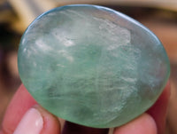 Polished Green Fluorite Palm Stones x 35 From Madagascar - Toprock Gemstones and Minerals 