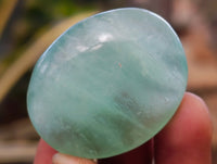 Polished Green Fluorite Palm Stones x 35 From Madagascar - Toprock Gemstones and Minerals 