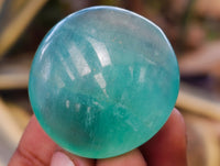 Polished Green Fluorite Palm Stones x 35 From Madagascar - Toprock Gemstones and Minerals 