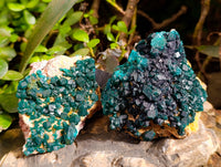 Natural Dioptase On Dolomite Specimens x 3 From Likasi, Congo - Toprock Gemstones and Minerals 