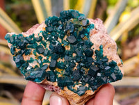 Natural Dioptase On Dolomite Specimens x 3 From Likasi, Congo - Toprock Gemstones and Minerals 