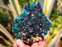 Natural Dioptase On Dolomite Specimens x 3 From Likasi, Congo - Toprock Gemstones and Minerals 