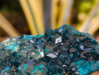 Natural Dioptase On Dolomite Specimens x 3 From Likasi, Congo - Toprock Gemstones and Minerals 