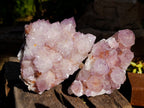 Natural Sunburst Amethyst Spirit Quartz Clusters x 2 From South Africa - Toprock Gemstones and Minerals 