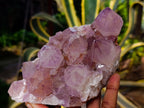 Natural Sunburst Amethyst Spirit Quartz Clusters x 2 From South Africa - Toprock Gemstones and Minerals 