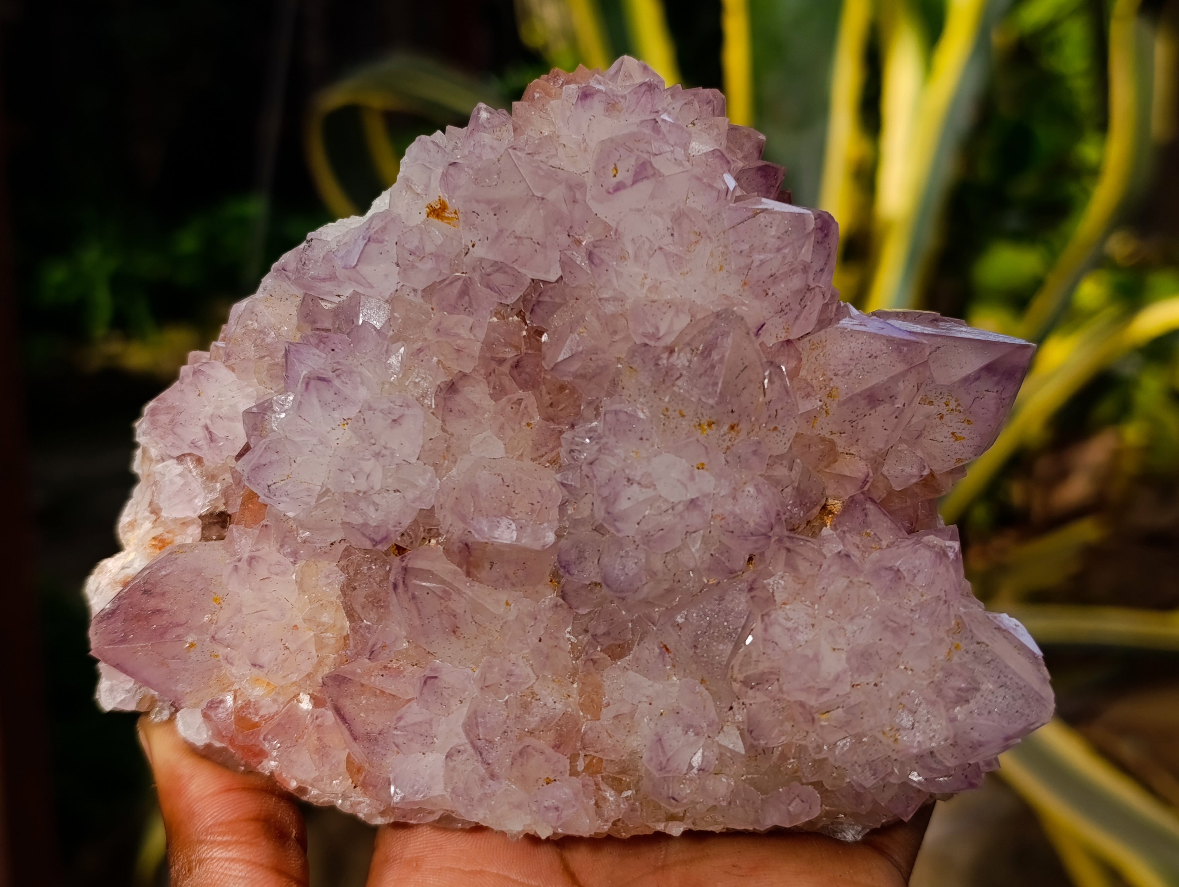 Natural Sunburst Amethyst Spirit Quartz Clusters x 2 From South Africa - Toprock Gemstones and Minerals 