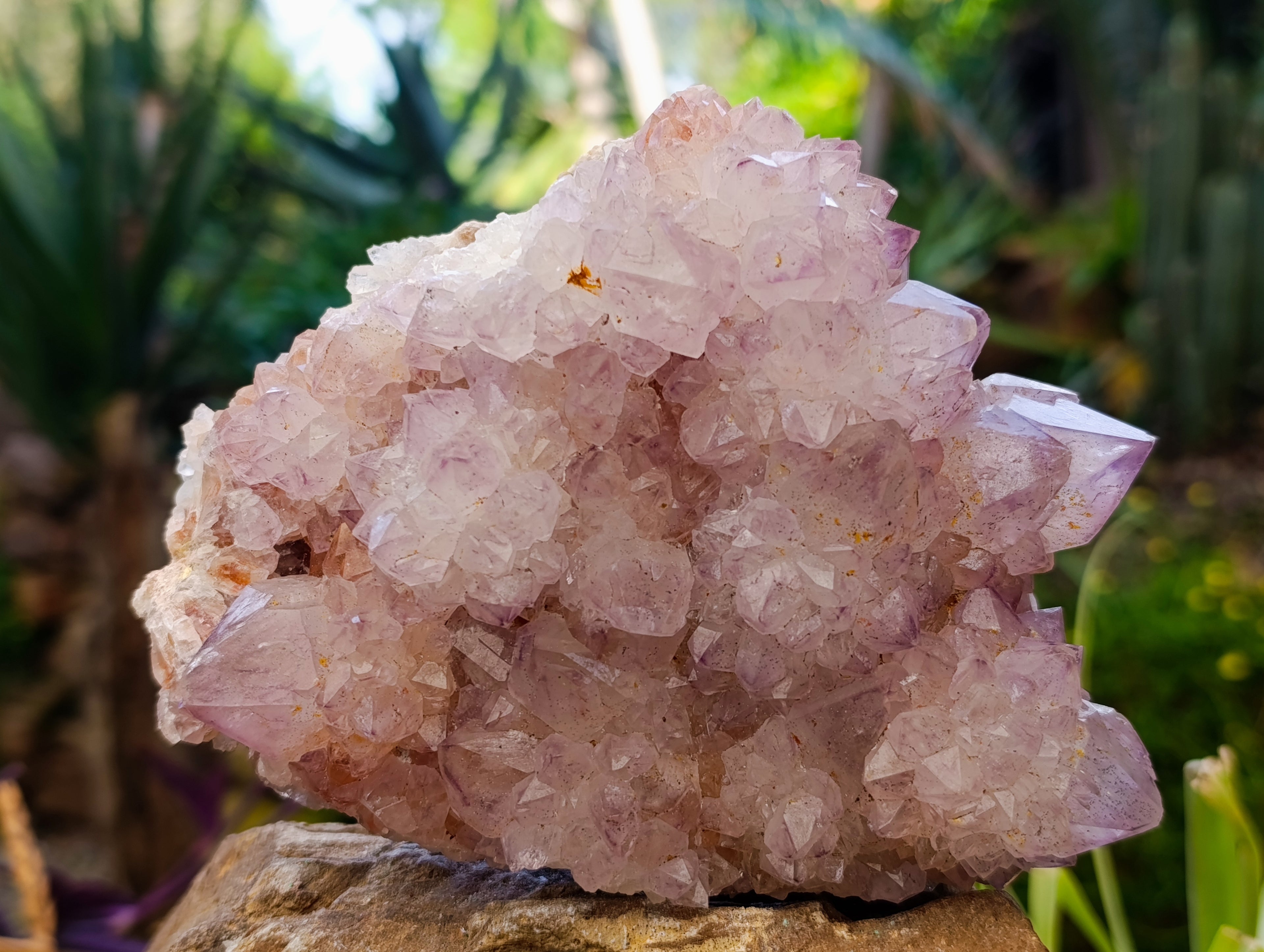 Natural Sunburst Amethyst Spirit Quartz Clusters x 2 From South Africa - Toprock Gemstones and Minerals 