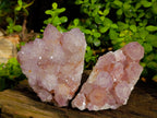 Natural Sunburst Amethyst Spirit Quartz Clusters x 2 From South Africa - Toprock Gemstones and Minerals 