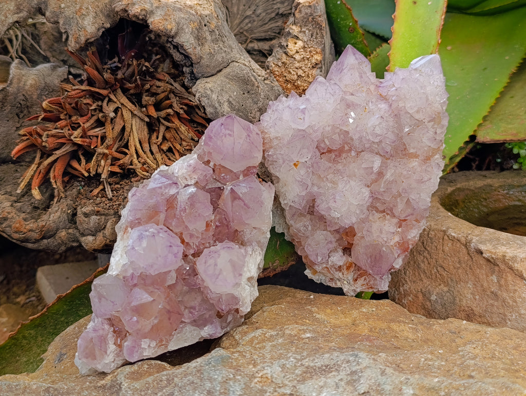 Natural Sunburst Amethyst Spirit Quartz Clusters x 2 From South Africa - Toprock Gemstones and Minerals 