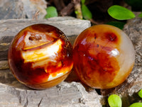 Polished Carnelian Agate Spheres x 6 From Madagascar
