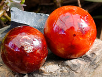 Polished Carnelian Agate Spheres x 6 From Madagascar