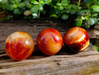 Polished Carnelian Agate Spheres x 6 From Madagascar