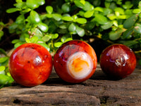 Polished Carnelian Agate Spheres x 6 From Madagascar