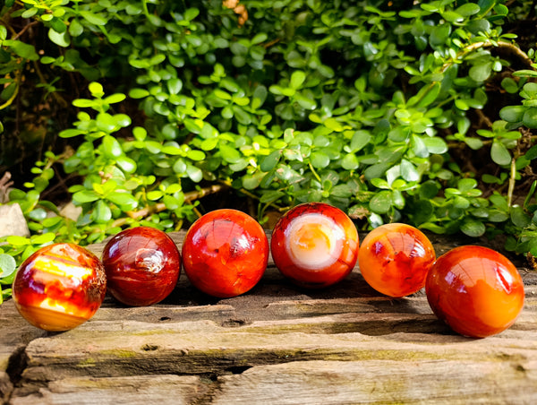 Polished Carnelian Agate Spheres x 6 From Madagascar