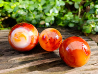 Polished Carnelian Agate Spheres x 6 From Madagascar