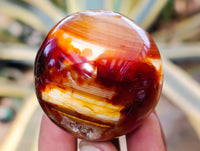 Polished Carnelian Agate Spheres x 6 From Madagascar