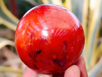 Polished Carnelian Agate Spheres x 6 From Madagascar