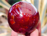 Polished Carnelian Agate Spheres x 6 From Madagascar