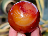 Polished Carnelian Agate Spheres x 6 From Madagascar