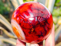 Polished Carnelian Agate Spheres x 6 From Madagascar