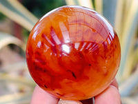 Polished Carnelian Agate Spheres x 6 From Madagascar