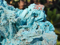 Natural Chrysocolla Blade Crystal Pseudomorph after Malachite with Azurite, Malachite and Heterogenite Crystallization x 1 From Lupoto Mine, Congo - Toprock Gemstones and Minerals 