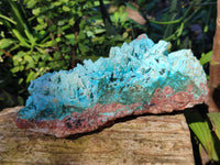 Natural Chrysocolla Blade Crystal Pseudomorph after Malachite with Azurite, Malachite and Heterogenite Crystallization x 1 From Lupoto Mine, Congo - Toprock Gemstones and Minerals 