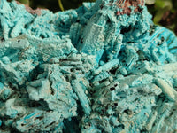 Natural Chrysocolla Blade Crystal Pseudomorph after Malachite with Azurite, Malachite and Heterogenite Crystallization x 1 From Lupoto Mine, Congo - Toprock Gemstones and Minerals 