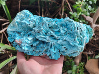 Natural Chrysocolla Blade Crystal Pseudomorph after Malachite with Azurite, Malachite and Heterogenite Crystallization x 1 From Lupoto Mine, Congo - Toprock Gemstones and Minerals 